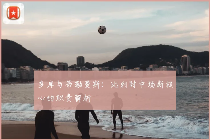 多库与蒂勒曼斯：比利时中场新核心的职责解析