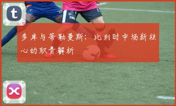 多库与蒂勒曼斯：比利时中场新核心的职责解析